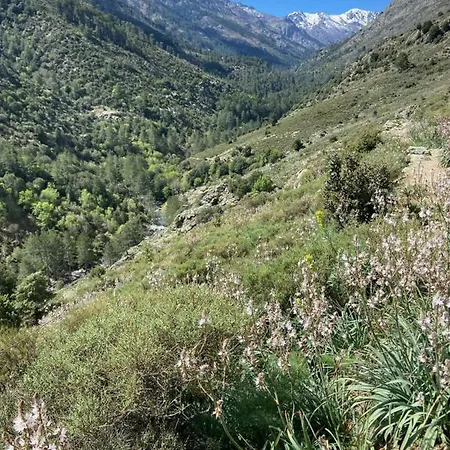 U Pasturellu Pioggiola