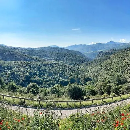 U Pasturellu Pioggiola