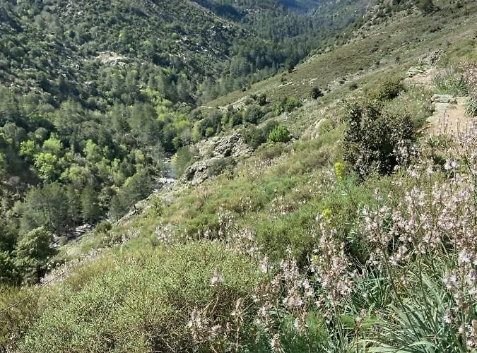 U Pasturellu Pioggiola