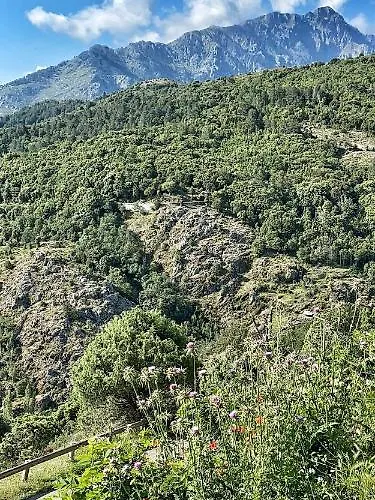 U Pasturellu 3* Pioggiola