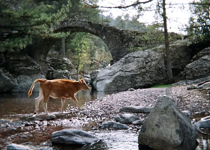 U Pasturellu Panzió Pioggiola