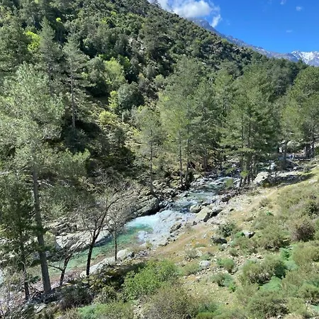 U Pasturellu Nocleg ze śniadaniem Pioggiola