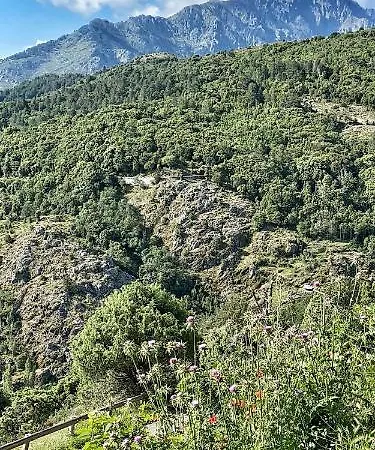 U Pasturellu * Pioggiola