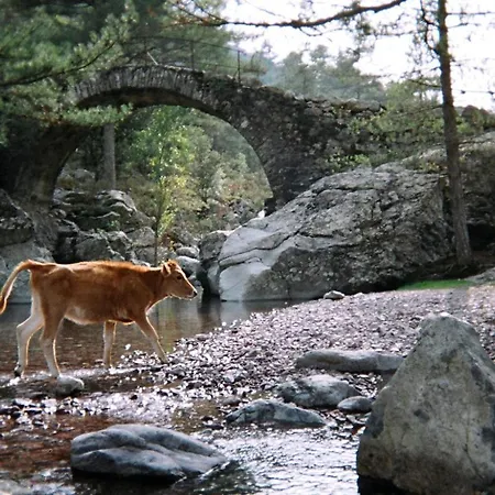 U Pasturellu Nocleg ze śniadaniem Pioggiola