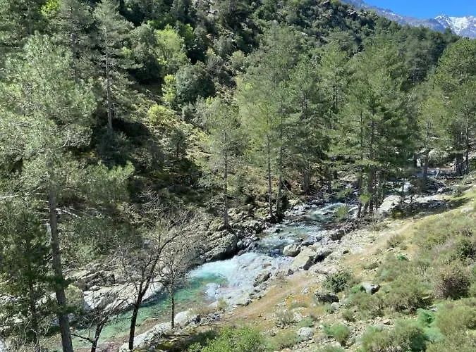 U Pasturellu Bed & Breakfast Pioggiola