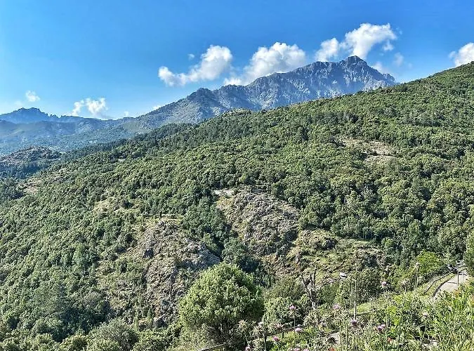 U Pasturellu Pioggiola